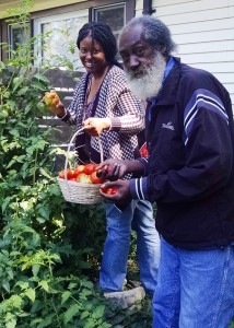 Man picks fruit with woman